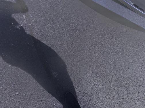 2020 Lincoln Continental Standard