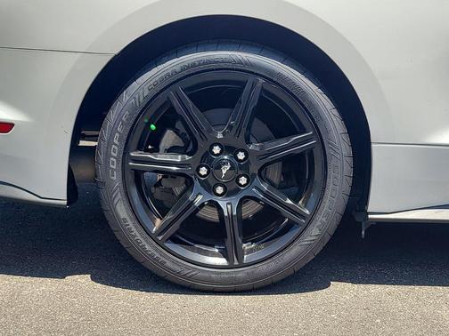 Oxford White 2019 Ford Mustang EcoBoost