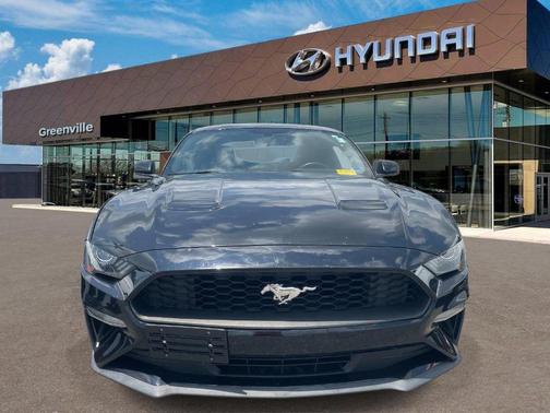 Shadow Black 2019 Ford Mustang EcoBoost