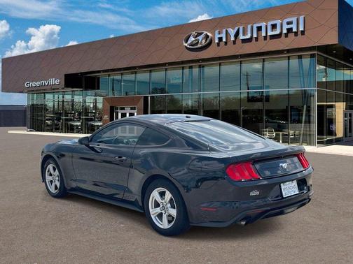 Shadow Black 2019 Ford Mustang EcoBoost