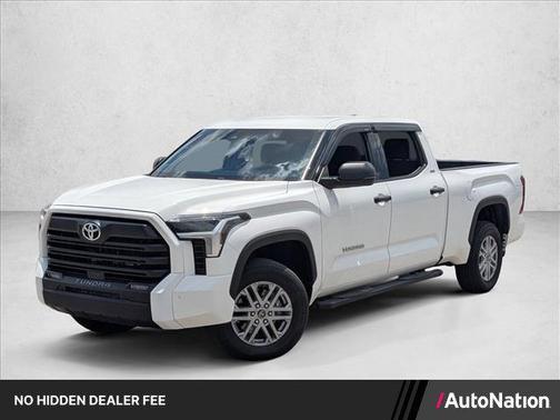 Ice Cap 2023 Toyota Tundra SR5