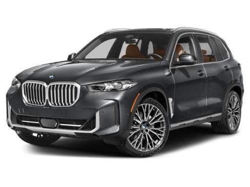 Blue Ridge Mountain Metallic 2024 BMW X5 xDrive40i