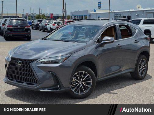 Cloudburst Gray 2023 Lexus NX 350 Premium