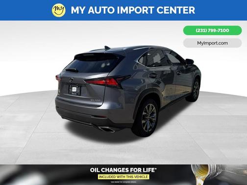 Gray Pearl 2019 Lexus NX 300 F Sport