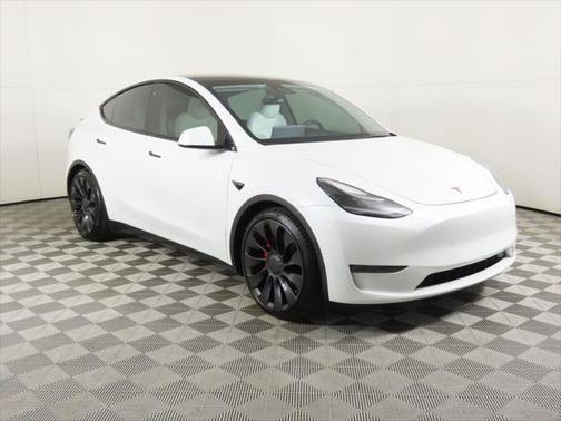 2021 Tesla Model Y Performance Dual Motor All-Wheel Drive