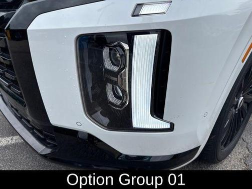 Hyper White 2025 Hyundai PALISADE Calligraphy Night Edition