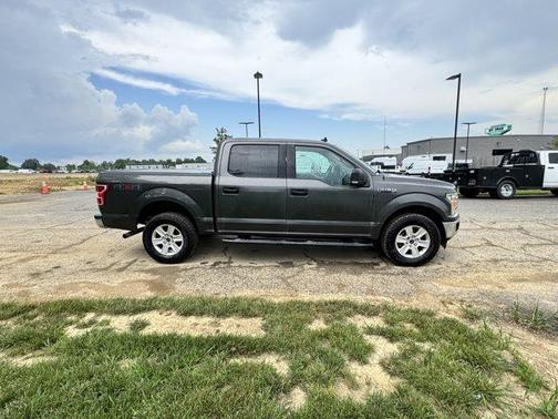 Magnetic Metallic 2019 Ford F-150 XLT