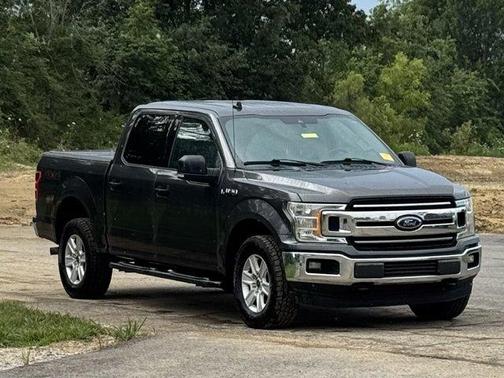 Magnetic Metallic 2019 Ford F-150 XLT