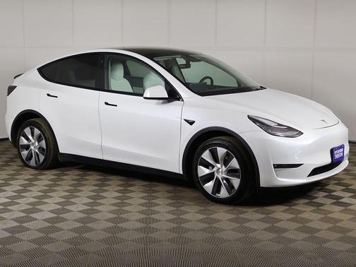 Pearl White Multi 2022 Tesla Model Y Long Range