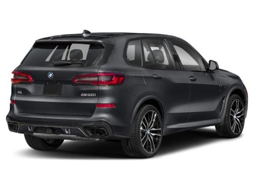 Arctic Gray Metallic 2020 BMW X5 M50i