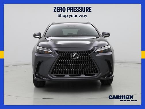 Gray 2024 Lexus NX 250