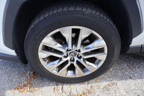 Blizzard Pearl 2019 Toyota RAV4 Limited