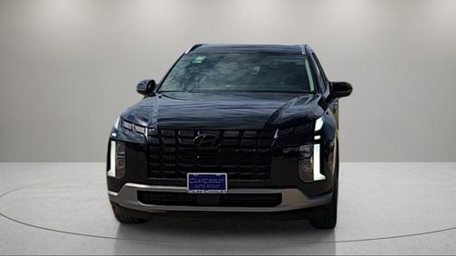 Abyss Black Pearl 2025 Hyundai PALISADE SEL