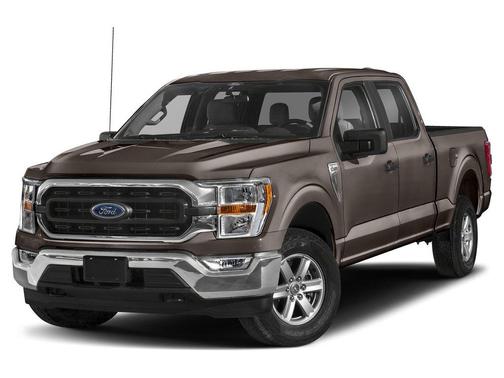 Stone Gray Metallic 2021 Ford F-150 XLT