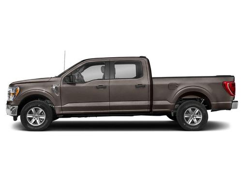 Stone Gray Metallic 2021 Ford F-150 XLT