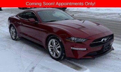 Ruby Red Metallic Tinted Clearcoat 2019 Ford Mustang EcoBoost Premium