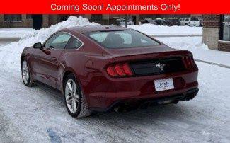 Ruby Red Metallic Tinted Clearcoat 2019 Ford Mustang EcoBoost Premium