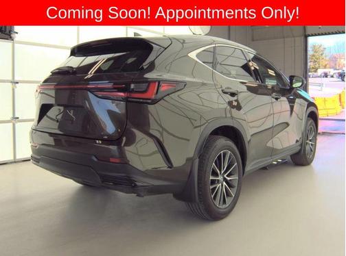Green Pearl 2024 Lexus NX 350 h Premium AWD