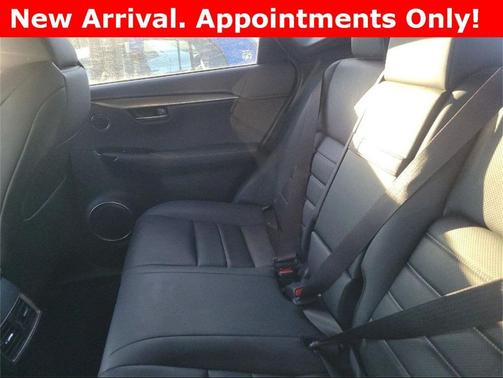 2021 Lexus NX 300 F Sport