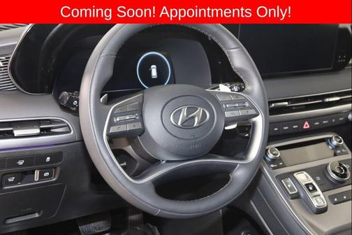 Robust Emerald 2025 Hyundai PALISADE Calligraphy