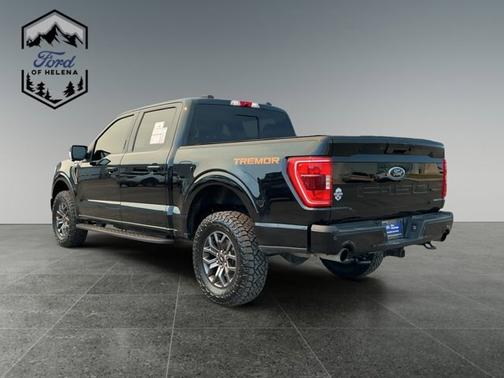 AGATE BLACK METALLIC 2022 Ford F-150 TREMOR