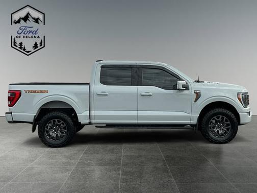 AVALANCHE 2023 Ford F-150 XL