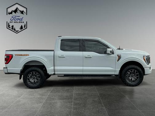 AVALANCHE 2023 Ford F-150 XL