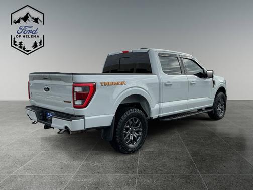 AVALANCHE 2023 Ford F-150 XL