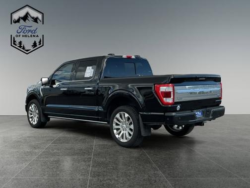 AGATE BLACK 2021 Ford F-150 LIMITED