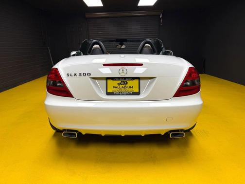 2010 Mercedes-Benz SLK-Class SLK300