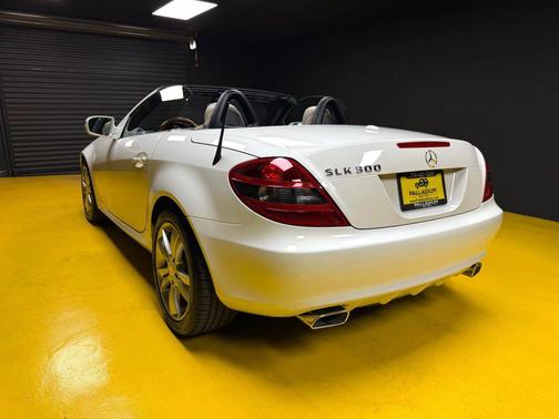 2010 Mercedes-Benz SLK-Class SLK300