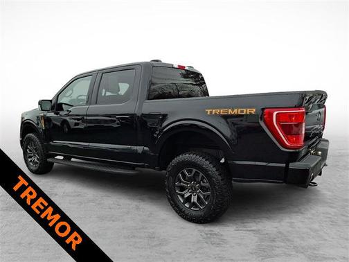 2021 Ford F-150 Tremor