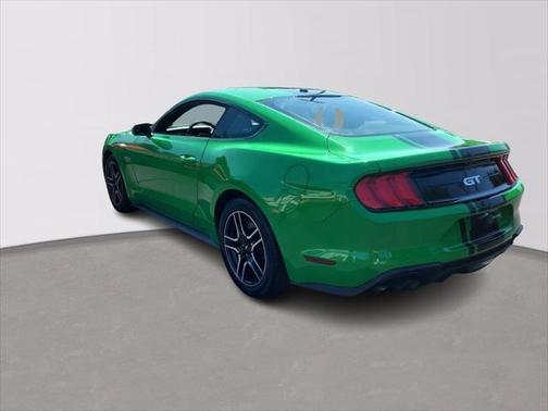 Need for Green 2019 Ford Mustang GT