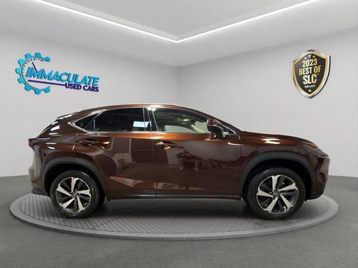 2018 Lexus NX 300 F Sport