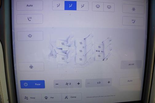 Pearl White Multi 2020 Tesla Model X Long Range Plus