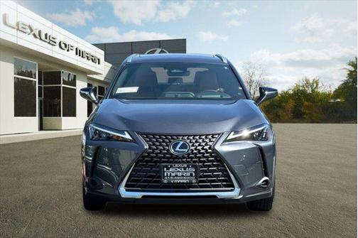 Cloudburst Gray 2026 Lexus UX 300h Premium