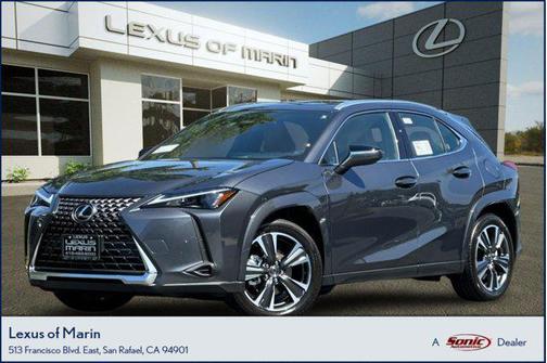 Cloudburst Gray 2026 Lexus UX 300h Premium