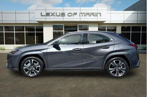 Cloudburst Gray 2026 Lexus UX 300h Premium