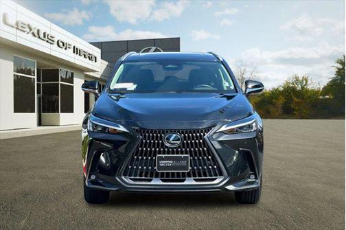 2024 Lexus NX 250 Premium