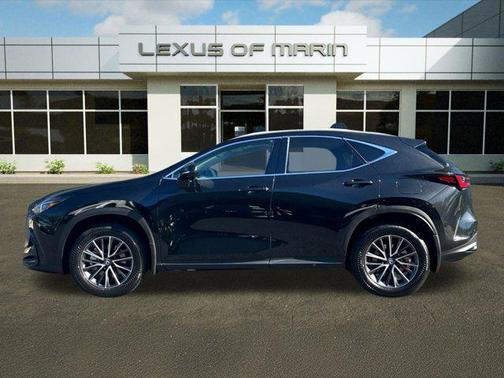 2025 Lexus NX 350h Premium