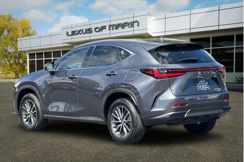 Cloudburst Gray 2025 Lexus NX 350h Premium