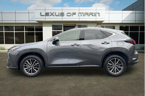2023 Lexus NX 250 Base