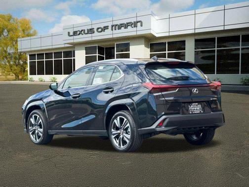 Caviar 2026 Lexus UX 300h Premium