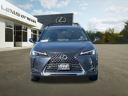 Cloudburst Gray 2026 Lexus UX 300h Premium
