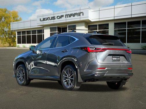 2025 Lexus NX 350h Premium