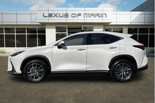 2025 Lexus NX 350h Premium