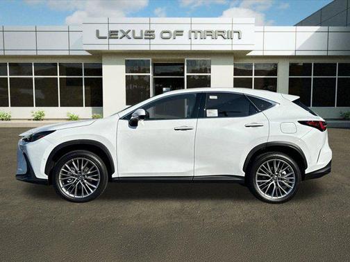 2026 Lexus NX 350h Luxury