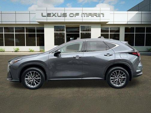 2025 Lexus NX 350h Premium