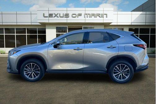 2024 Lexus NX 250 Premium
