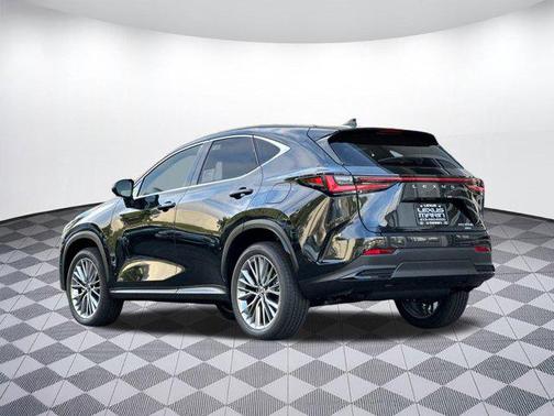 2025 Lexus NX 350h Luxury
